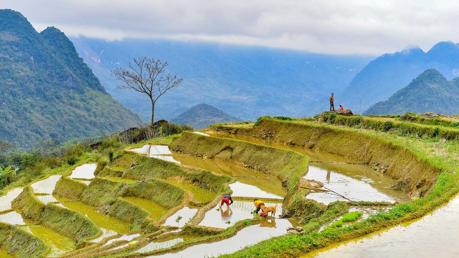 HA NOI – PU LUONG -NINH BINH 5DAY TOUR