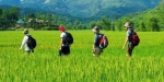 HA NOI – PU LUONG -NINH BINH 5DAY TOUR